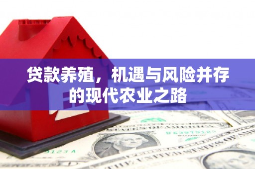 罗田贷款养殖，机遇与风险并存的现代农业之路