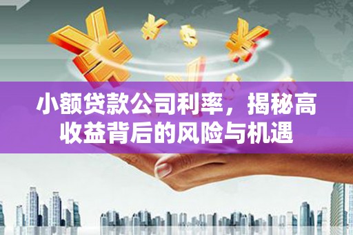 罗田小额贷款公司利率，揭秘高收益背后的风险与机遇
