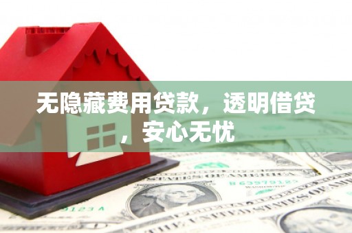 罗田无隐藏费用贷款，透明借贷，安心无忧
