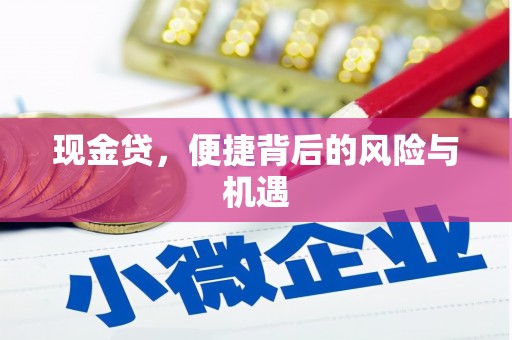罗田现金贷，便捷背后的风险与机遇