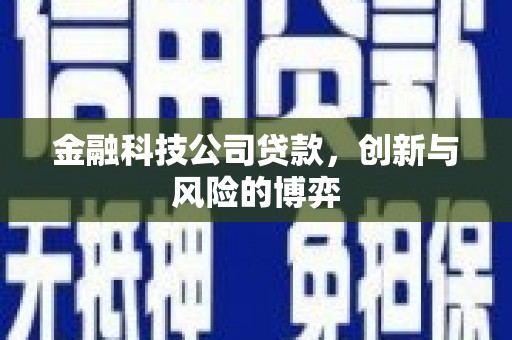 罗田金融科技公司贷款，创新与风险的博弈
