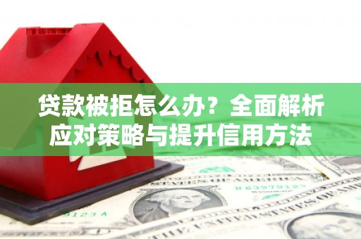 罗田贷款被拒怎么办？全面解析应对策略与提升信用方法