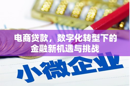 罗田电商贷款，数字化转型下的金融新机遇与挑战