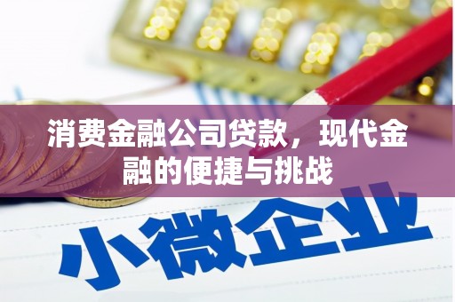 罗田消费金融公司贷款，现代金融的便捷与挑战