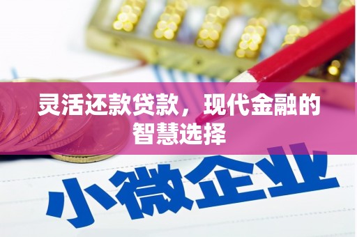 罗田灵活还款贷款，现代金融的智慧选择