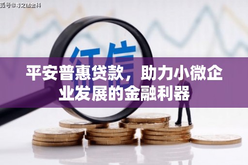 罗田平安普惠贷款，助力小微企业发展的金融利器