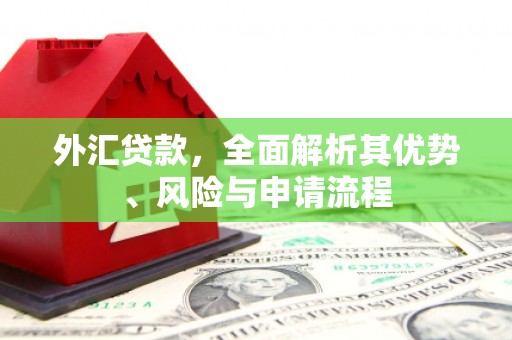 罗田外汇贷款，全面解析其优势、风险与申请流程