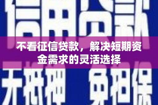 罗田不看征信贷款，解决短期资金需求的灵活选择