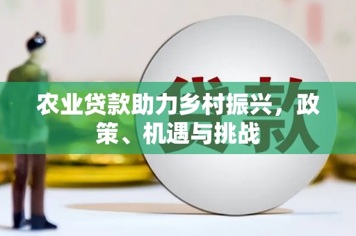 罗田农业贷款助力乡村振兴，政策、机遇与挑战