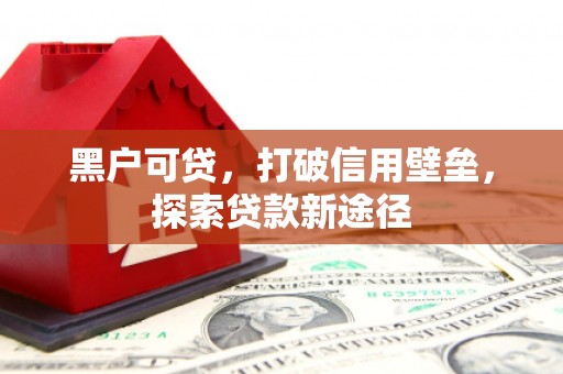 罗田黑户可贷，打破信用壁垒，探索贷款新途径