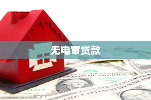 罗田无电审贷款