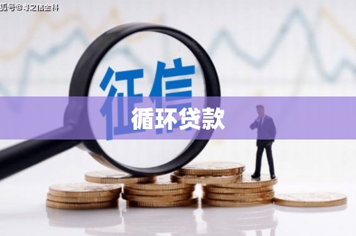 罗田循环贷款