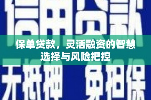 罗田保单贷款，灵活融资的智慧选择与风险把控