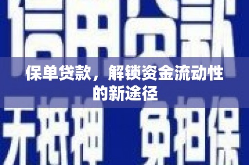 罗田保单贷款，解锁资金流动性的新途径