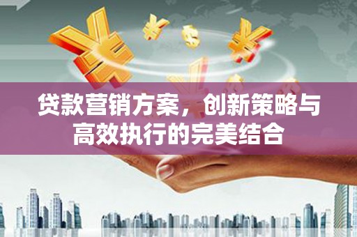 罗田贷款营销方案，创新策略与高效执行的完美结合
