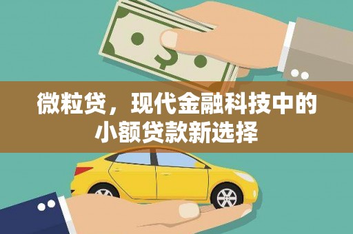 罗田微粒贷，现代金融科技中的小额贷款新选择