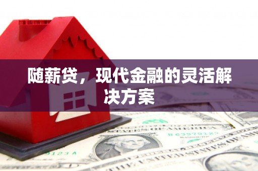 罗田随薪贷，现代金融的灵活解决方案