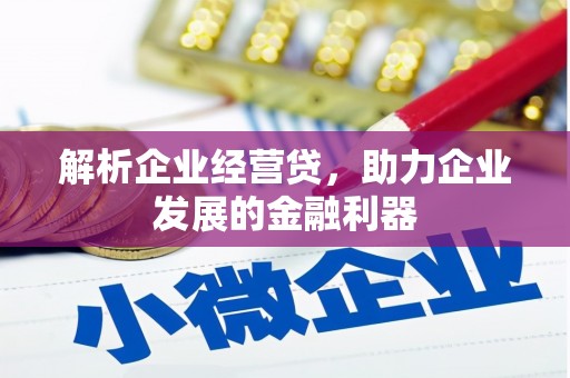 罗田解析企业经营贷，助力企业发展的金融利器