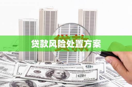 罗田贷款风险处置方案
