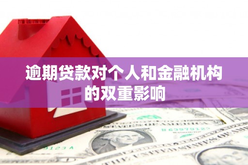 罗田逾期贷款对个人和金融机构的双重影响