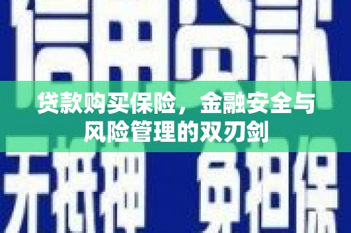 罗田贷款购买保险，金融安全与风险管理的双刃剑