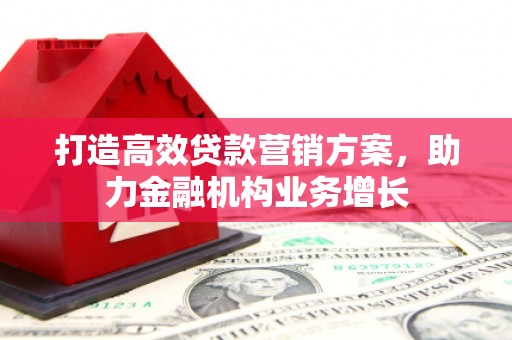 罗田打造高效贷款营销方案，助力金融机构业务增长