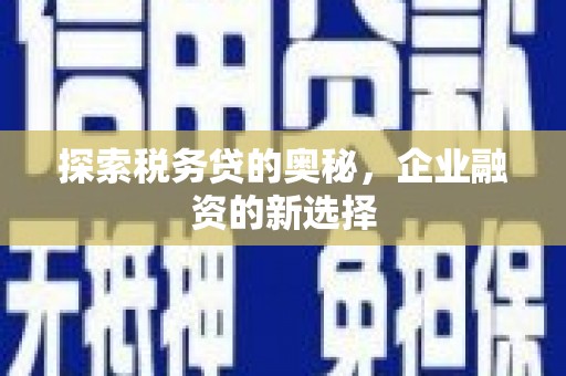 罗田探索税务贷的奥秘，企业融资的新选择
