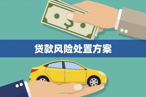罗田贷款风险处置方案