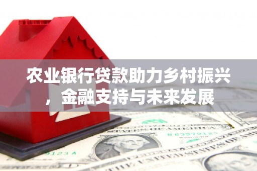 罗田农业银行贷款助力乡村振兴，金融支持与未来发展