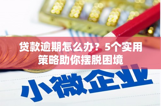 罗田贷款逾期怎么办？5个实用策略助你摆脱困境