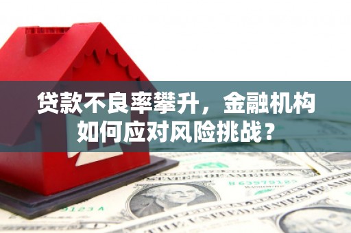 罗田贷款不良率攀升，金融机构如何应对风险挑战？