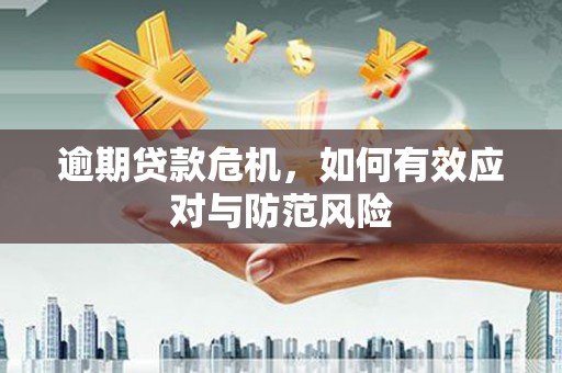 罗田逾期贷款危机，如何有效应对与防范风险