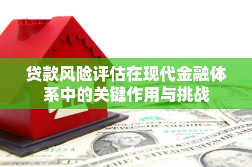 罗田贷款风险评估在现代金融体系中的关键作用与挑战