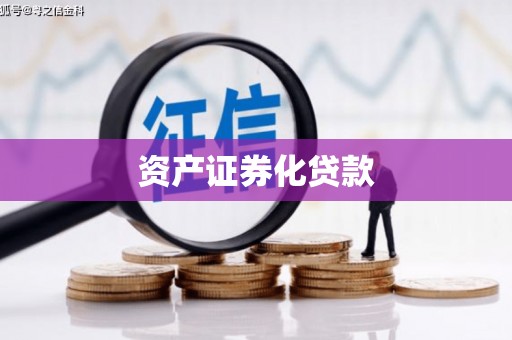 罗田资产证券化贷款