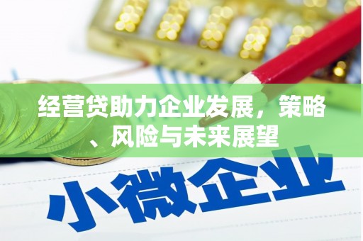 罗田经营贷助力企业发展，策略、风险与未来展望