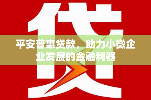 罗田平安普惠贷款，助力小微企业发展的金融利器