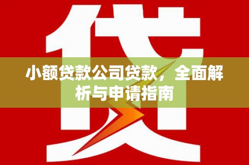 罗田小额贷款公司贷款，全面解析与申请指南