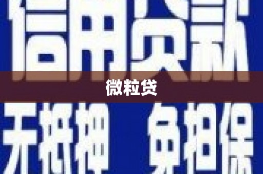 罗田微粒贷