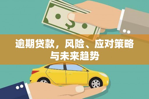 罗田逾期贷款，风险、应对策略与未来趋势
