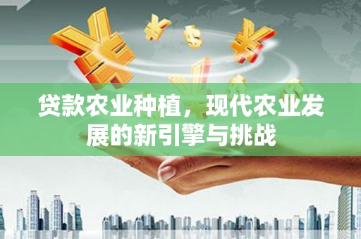 罗田贷款农业种植，现代农业发展的新引擎与挑战