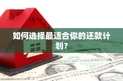 罗田如何选择最适合你的还款计划？