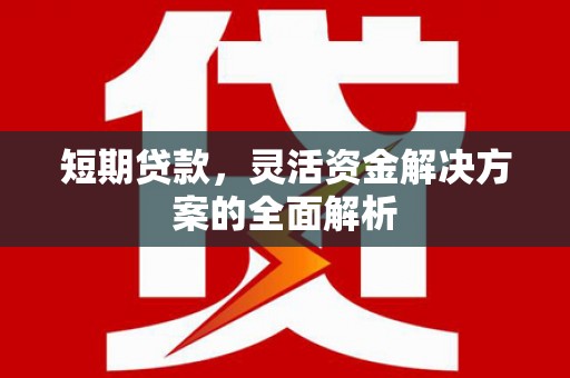 罗田短期贷款，灵活资金解决方案的全面解析