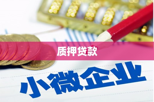 罗田质押贷款