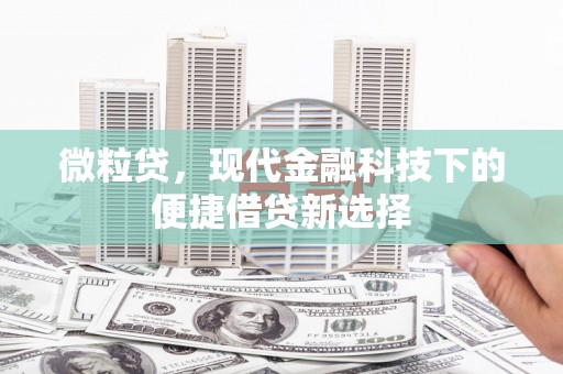 罗田微粒贷，现代金融科技下的便捷借贷新选择