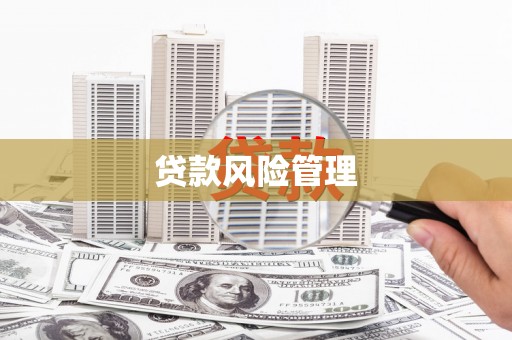 罗田贷款风险管理