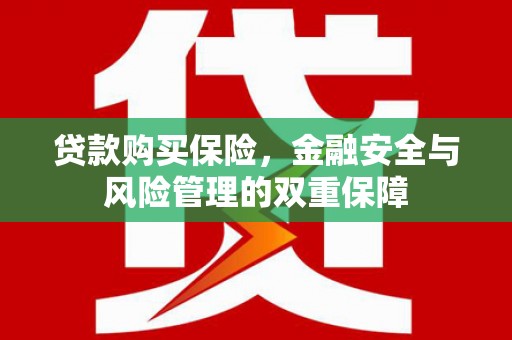 罗田贷款购买保险，金融安全与风险管理的双重保障