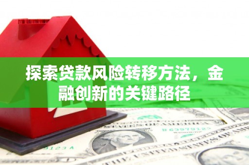 罗田探索贷款风险转移方法，金融创新的关键路径