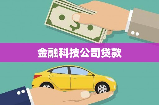 罗田金融科技公司贷款