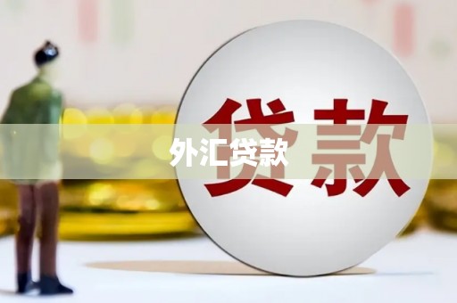 罗田外汇贷款