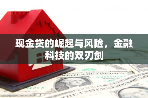 罗田现金贷的崛起与风险，金融科技的双刃剑
